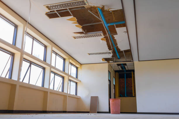 Best Water damage restoration company  in Bellefontaine Neighbors, MO