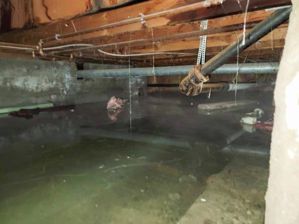 Best Fire Damage Restoration  in Bellefontaine Neighbors, MO
