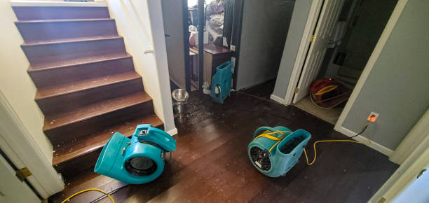 Best Water damage restoration near me  in Bellefontaine Neighbors, MO