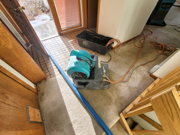 Best Water damage repair service  in Bellefontaine Neighbors, MO