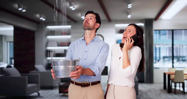 Best Ceiling water damage repair  in Bellefontaine Neighbors, MO