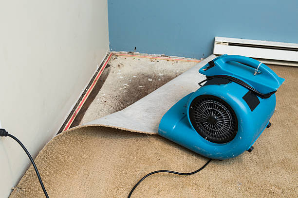 Best Emergency water damage restoration  in Bellefontaine Neighbors, MO