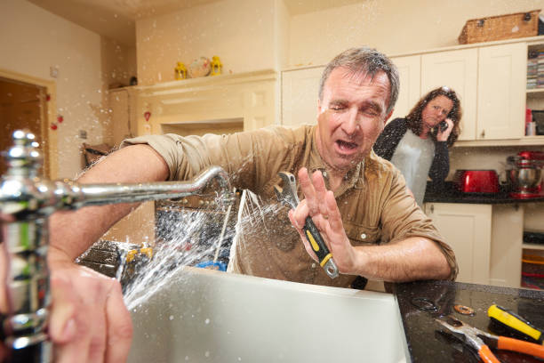 Best Professional water damage repair  in Bellefontaine Neighbors, MO